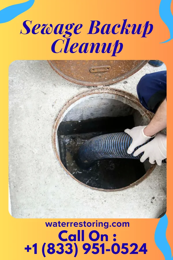 Sewage Backup Cleanup in Smyrna, TN